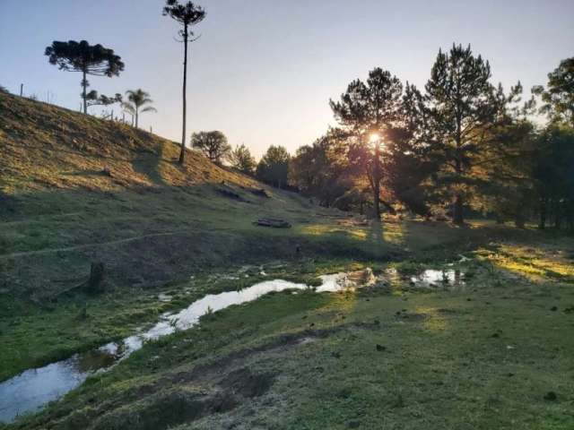 Terreno à venda na Rua Maria de Lourdes Pilatti, Vila Nova, Rio Negrinho por R$ 990.000