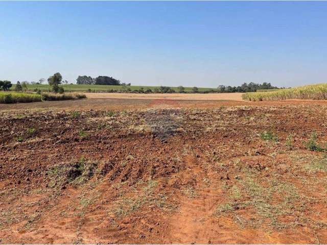 Oportunidade Única: Terreno Comercial em Rio das pedras