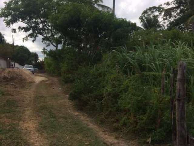 Excelente Lotes/Terrenos com 1.000m2 em Mangue Seco, Igarassu Aceito Carro