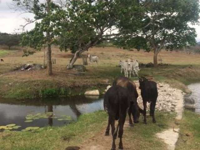 Ótimo para Empreendedorismo, Fazenda 16 hec, Rio e 2 Açudes Perene, Agrestina