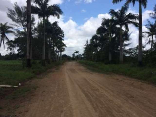 Ótima Fazenda-Granja-Sítio 52 Hectares para Empreendedorismo em Monjope, Igarassu