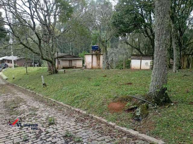 Chácara á venda no Bairro Colônia Matos em Mandirituba - PR