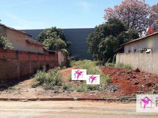 Terreno à venda, 350 m² por R$ 150.000,00 - Barra Funda - Leme/SP