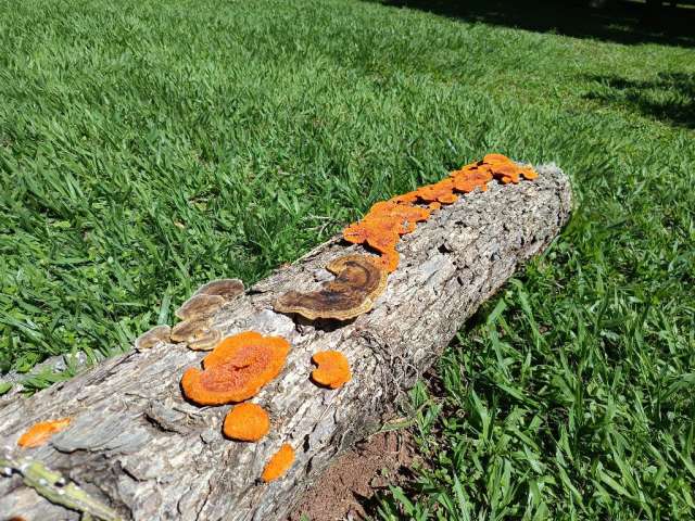 Raridade de terreno no Vale das Laranjeiras SP