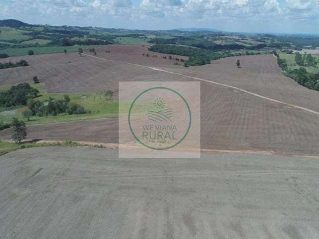 Excelente Fazenda Dupla Aptidão com 49 Alqueires em Itapetininga - SP