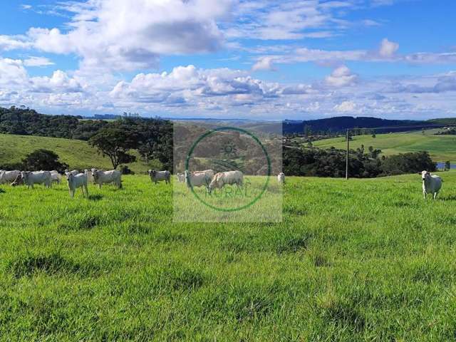 Excelente fazenda na pecuária com 53 Alqueires em Itapetininga - SP