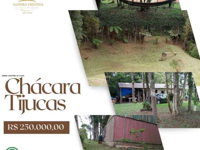 Chácara para Venda em Tijucas do Sul, Campo Alto