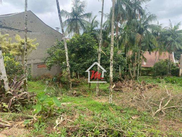 Lindo terreno a venda no bairro Velha