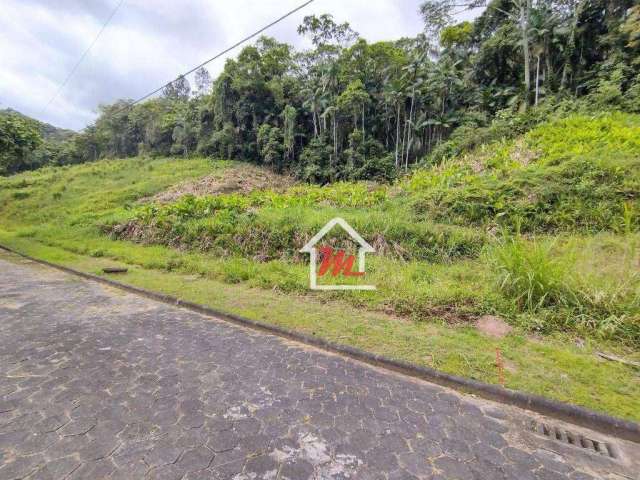 Terreno à venda, 5600 m² por R$ 869.000,00 - Velha - Blumenau/SC