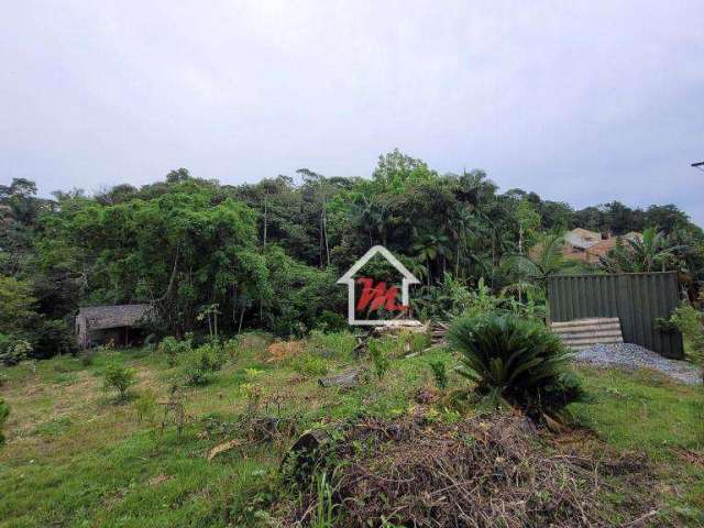 Terreno à venda, 7938 m² por R$ 9.500.000,00 - Velha Central - Blumenau/SC