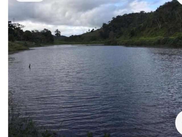 Terreno Comercial à Beira da Estrada – BR-324: Oportunidade de Investimento!