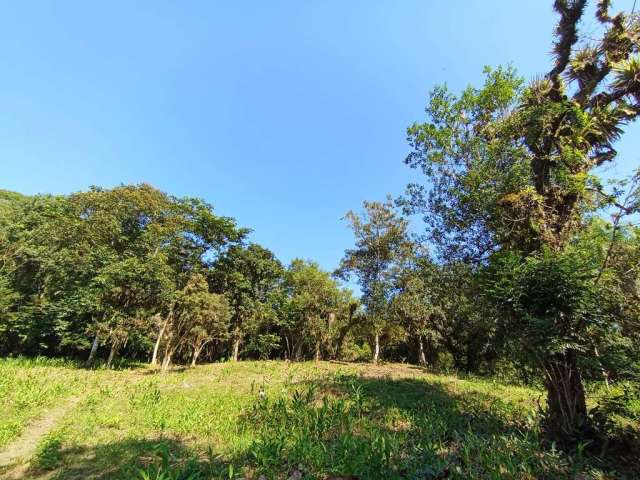 Terreno à venda no bairro Barro Branco - Morretes/PR