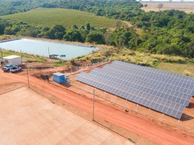 Fazenda de café formada em Araguari-MG com 257 mil pés de café