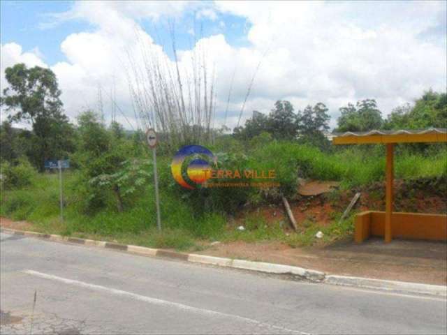 Terreno para Venda em Santana De Parnaíba, Jardim Professor Benoá