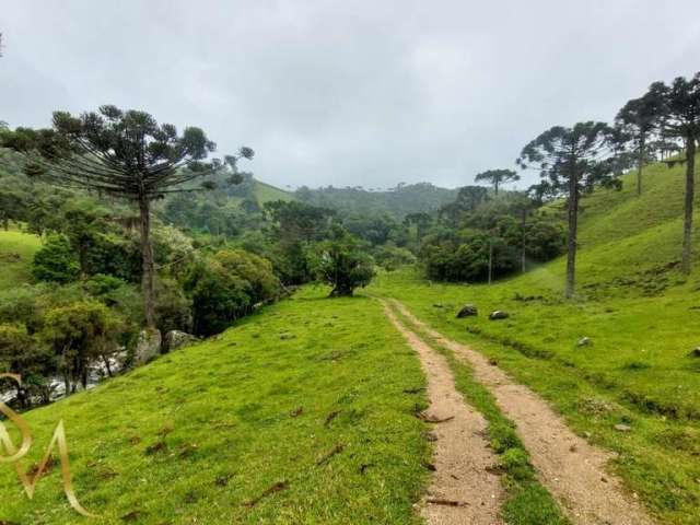 Terreno em Centro, Rancho Queimado/SC