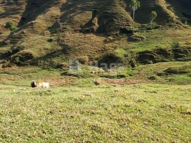 Terreno rural à venda em Angelina/SC