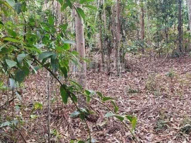 Terreno rural para sítio/chácara à venda em São João Batista/SC