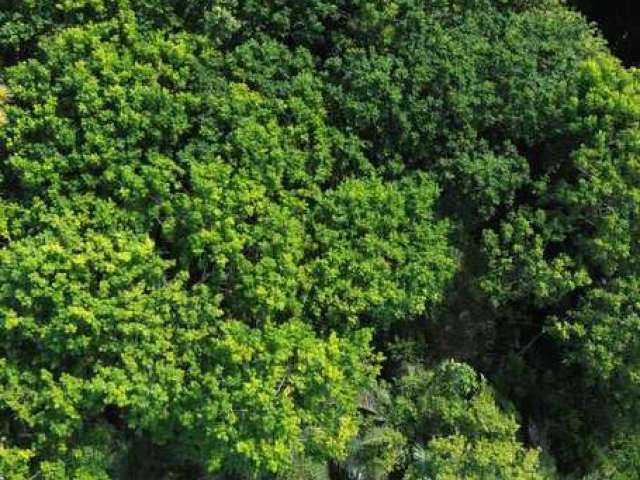 Terreno em Condomínio para Venda em Mata de São João, Praia do Forte