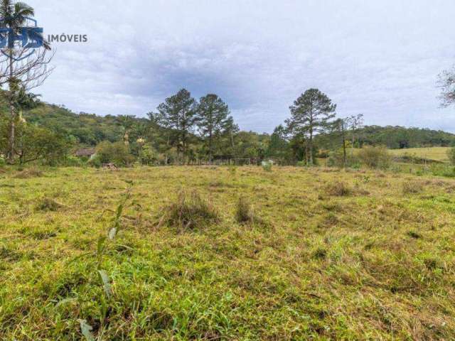 Terreno à venda, 63370 m² por R$ 3.500.000,00 - Fortaleza Alta - Blumenau/SC