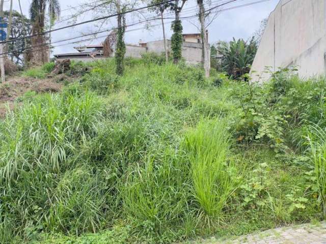 Terreno à venda, 465 m² por R$ 295.000,00 - Escola Agrícola - Blumenau/SC