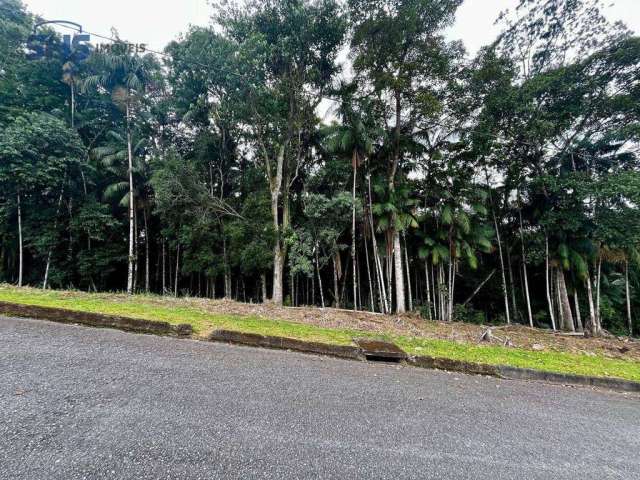 Terreno à venda, 765 m² por R$ 500.000,00 - Velha - Blumenau/SC