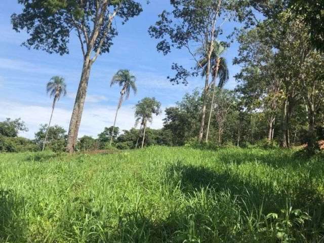 Fazenda em Aragoiânia