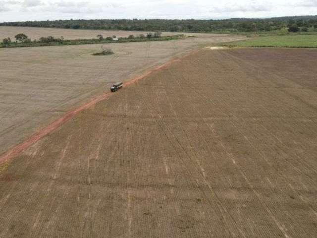 Fazenda em Araguaína