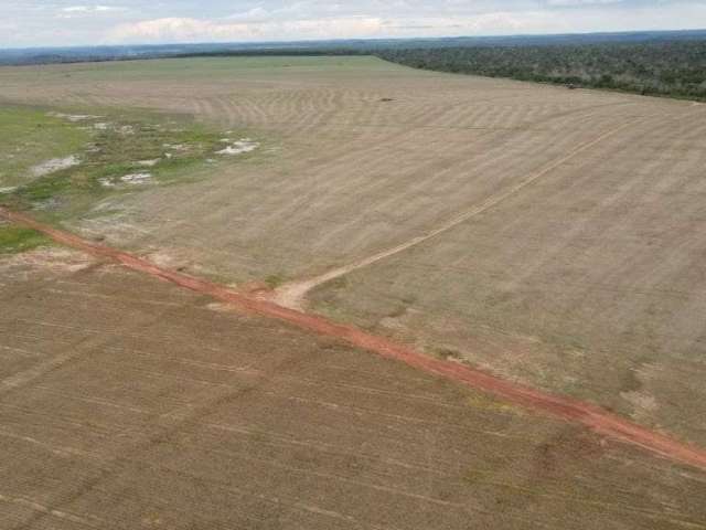 Fazenda em Araguaína