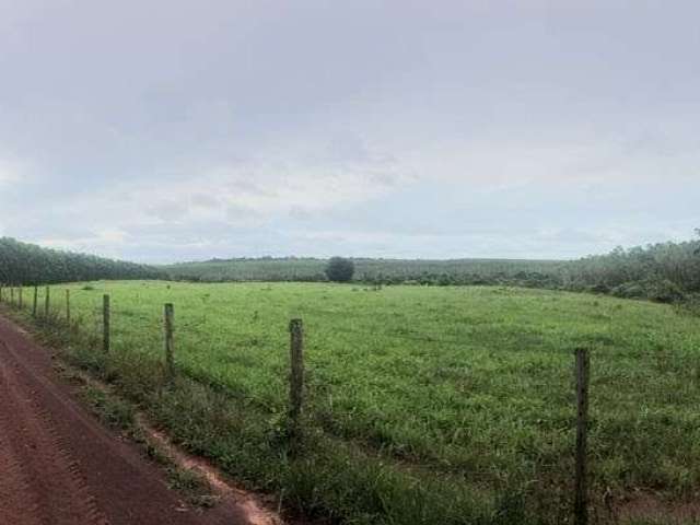 Fazenda em Araguaína