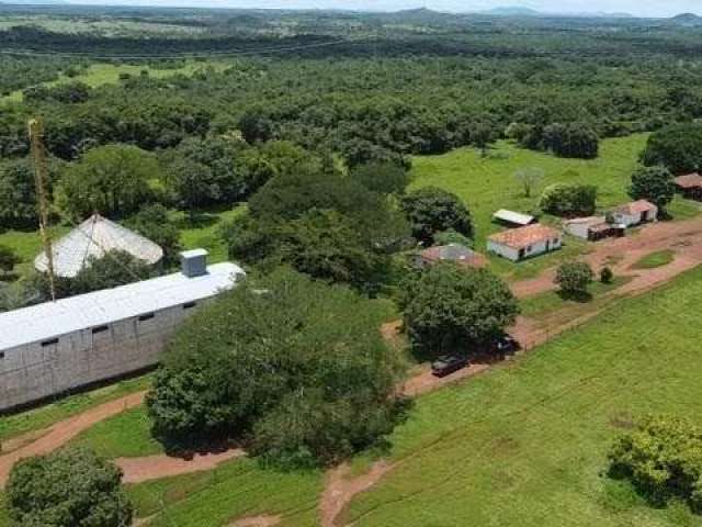 Fazenda em Paranã