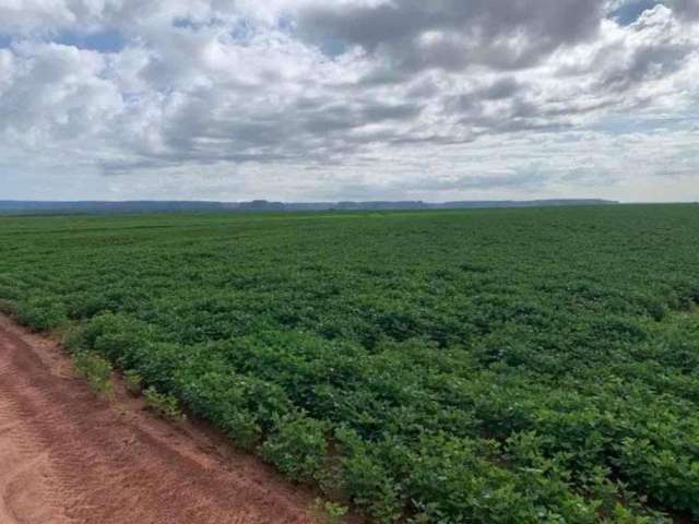 Fazenda em Cajueiro  -  Balsas