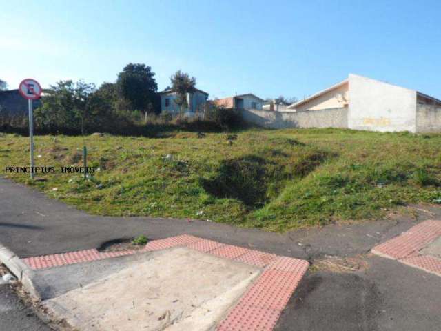 Terreno para Venda em Campina Grande do Sul, CENTRO