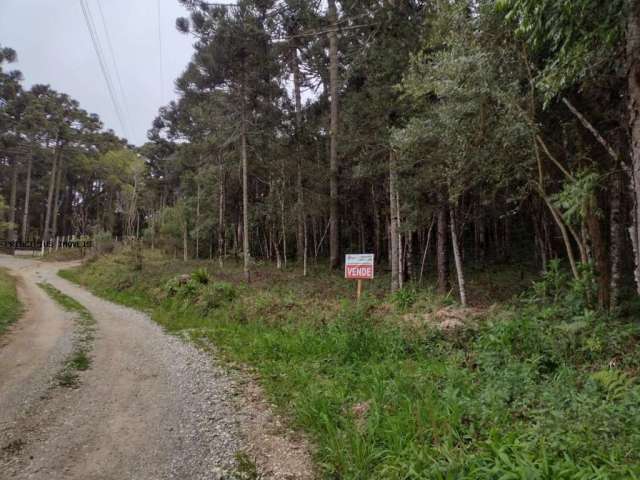 Chácara para Venda em Campina Grande do Sul, BARBAQUÁ DA PALMEIRINHA