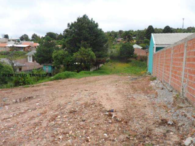 Terreno para Venda em Colombo, VILA FLORESTAL GRAJAU