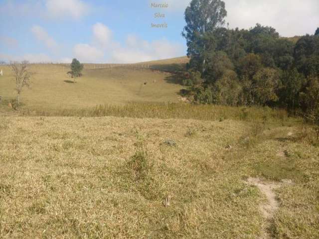 TERRENO COM 25.000 m², ÓTIMA TOPOGRAFIA EM BRAGANÇA PAULISTA - SP