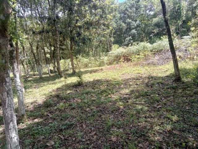 Terreno para venda em Campina Grande do Sul - PR