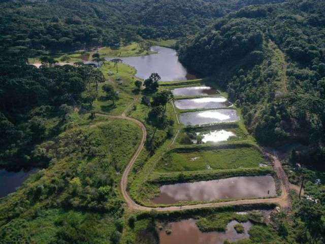 Fazenda para venda em Bocaiuva