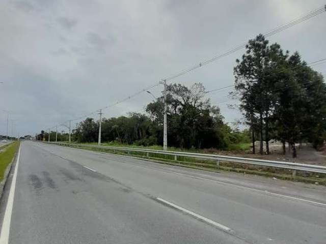 Terreno em ótima localização.