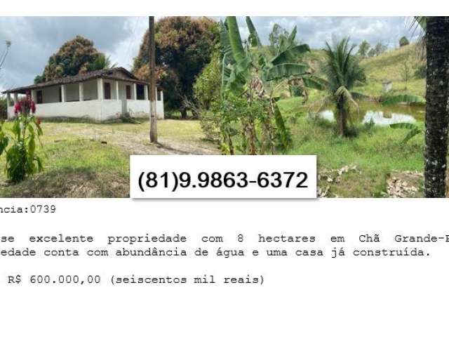 Vende-se excelente propriedade com 8 hectares em Chã Grande-PE