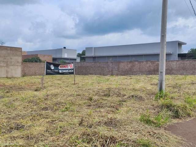 Terreno para Venda em Campo Grande, Vila Nasser