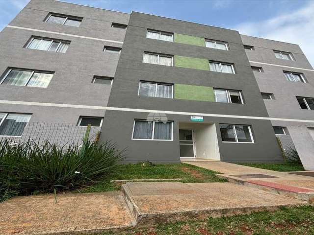 Apartamento com 2 quartos para alugar na Rua Afonso Celso, 4444, Uvaranas, Ponta Grossa, 66 m2 por R$ 1.360