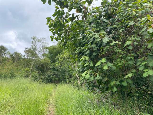 Seu Pedacinho de Natureza