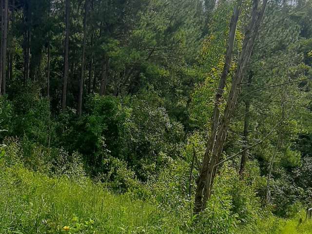 Terreno com Acesso a Comércio e Serviços