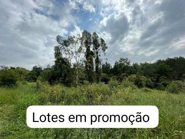 ZO, Terrenos em promoção, não perca