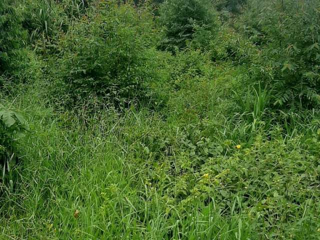 Terreno à venda na Estrada do Rancho Maringá, 7384, Portão, Atibaia, 500 m2 por R$ 60.000