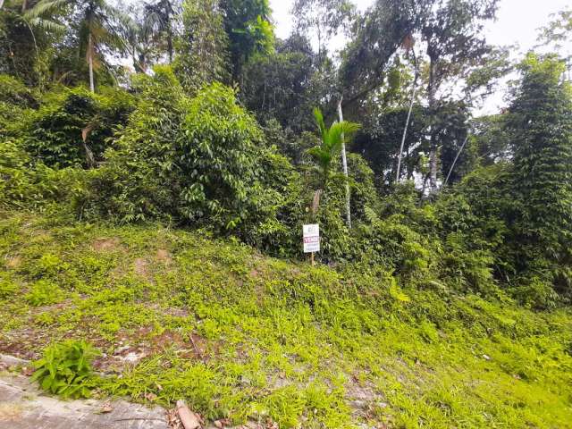 Terreno à venda, Guarani - Brusque/SC