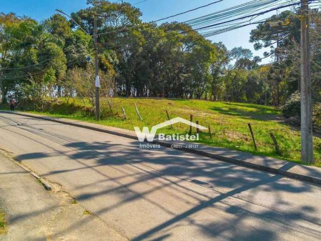 Terreno à venda, 15 m² por R$ 3.200.000,00 - Arruda - Colombo/PR