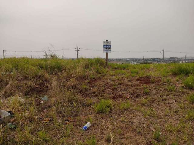 Terreno Comercial para Venda em Londrina, Jardim Morumbi