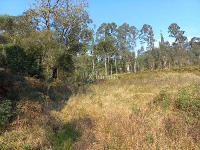 Chácara / sítio à venda na Zona Rural, Urubici , 20000 m2 por R$ 350.000