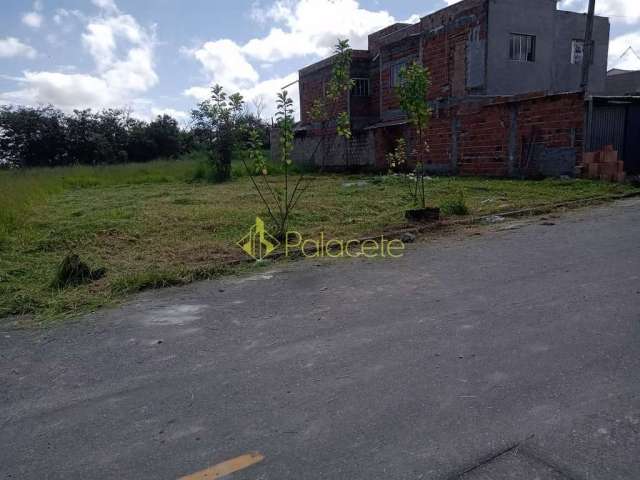 Terreno à venda Residencial Pasin, Pindamonhangaba - SP